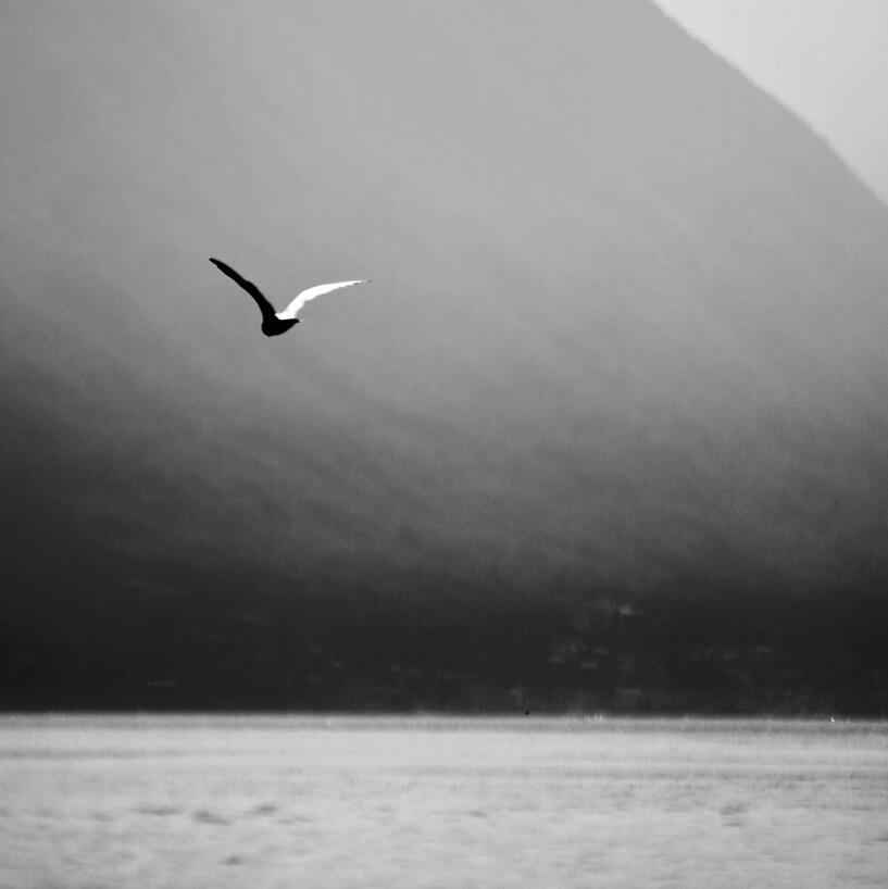 Davar Gold. By Diana Lujan